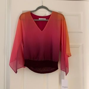 Amanda Uprichard ombre blouse!